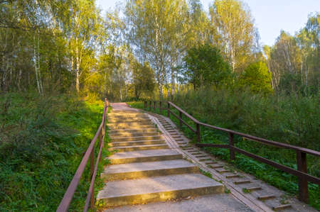 Improved pedestrian path in Telostanovsky forest park. Moscow, Russia. Early evening in late...