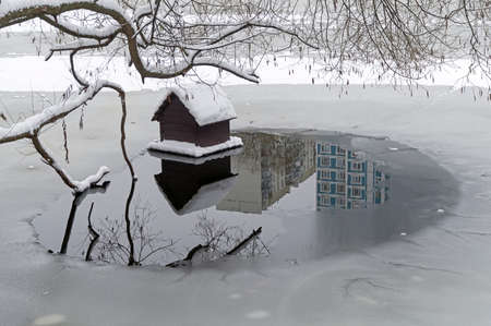 A duck house in a hole on a recently frozen pond. Pre-winter. End of November.の写真素材