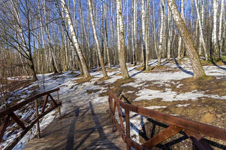 A footbridge at the bottom of a ravine in a forest park. Moscow, Russia. A sunny day in early spring.の写真素材