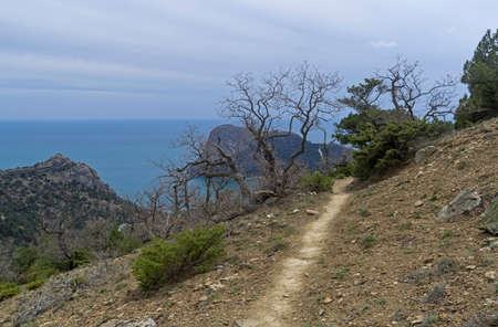 The trail in the Crimean mountains. The outskirts of the resort village of Novy Svet. End of April.