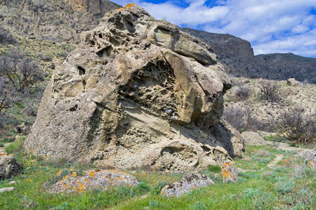 A stone in which traces of fossilized coral deposits are visible. Cape Meganom, Crimea.の写真素材