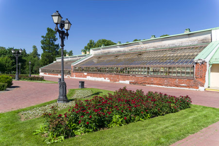 Moscow, Russia - June 20, 2021: A flowerbed with blooming burgundy roses in front of the Grape Greenhouse in Tsaritsinsky Park, Moscow. Sunny day in June.のeditorial素材