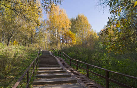 Staircase on a pedestrian walkway on the slope of the ravine. Teplostanovsky forest park, Moscow,...