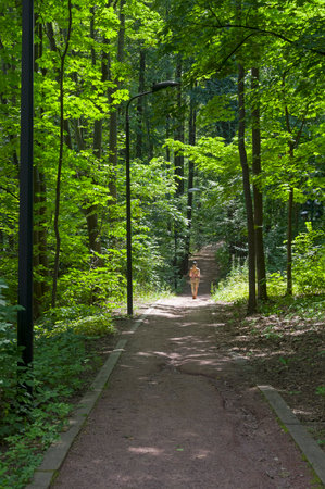 A well-maintained pedestrian path in the Vorobyovy Gory nature reserve. Moscow, a sunny day in July.の写真素材
