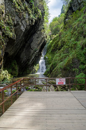 Viewing platform at the Estube waterfall. The Estube waterfall is located near the mouth of the Bolshaya Estube River into Lake Teletskoye and is actively visited by tourists. Altai, sunny day in August.の写真素材