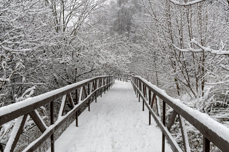 A snow-covered pedestrian bridge in Teplostanovsky Forest Park, Moscow, Russia. Mid-November.