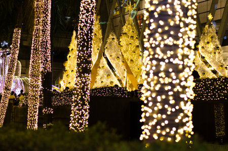 bokeh light on christmas tree.
