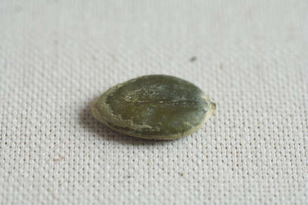 Close-up view of one Italian organic Toasted Pumpkin Seedの写真素材