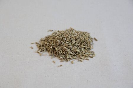 Close-up view of Fennel Seedsの写真素材