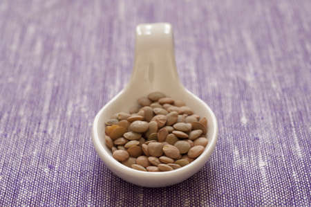 Close-up view of Organic Italian green Lentils in a spoonの写真素材