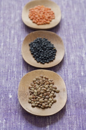 Close-up view of three different variety of Organic Lentils   front to back  Small Umbrian, Black...