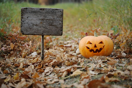 Halloween conceptの写真素材