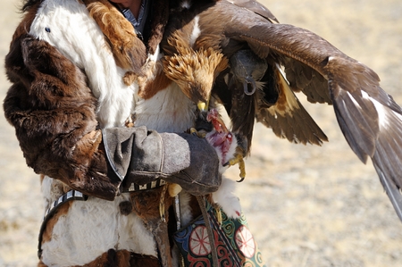 Kosh-Agach,Russia - September 21, 2014: the hunter with an eagle at the festival: Berkut-wing Chu...