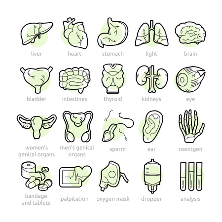 Medical icons with lines. Human organs and medical suppliesのイラスト素材