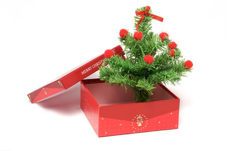 Red gift box and christmas tree on isolated backgroundの写真素材
