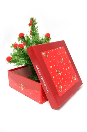 Red gift box and christmas tree on isolated backgroundの写真素材