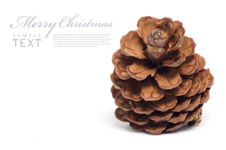 Christmas cones on a white background with copy spaceの写真素材
