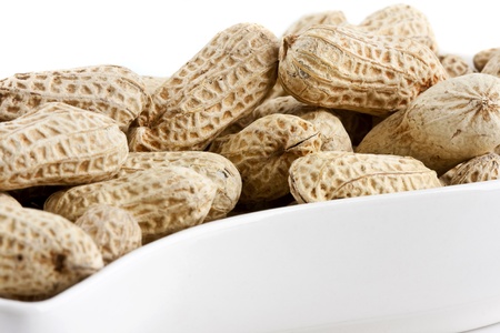 Peanut in shell snack on white plateの写真素材