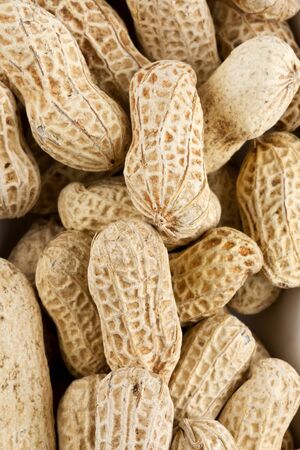 Background of roasted peanuts in shellの写真素材