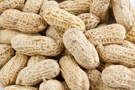 Background of roasted peanuts in shellの写真素材
