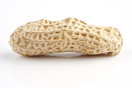 Closeup of a peanut with white background.の写真素材