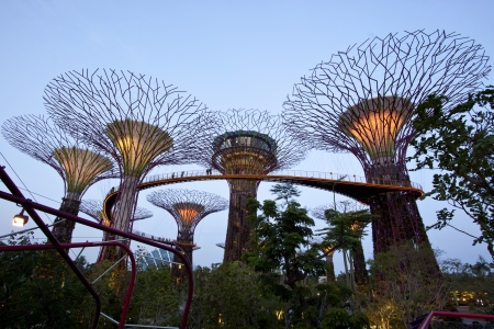 Singapore, Singapore - SEPTEMBER 10, 2012: Night view of The Supertree Grove at Gardens by the Bay in Singapore. Spanning 101 hectares of reclaimed land in central Singapore, adjacent to Marina Reservoir.のeditorial素材