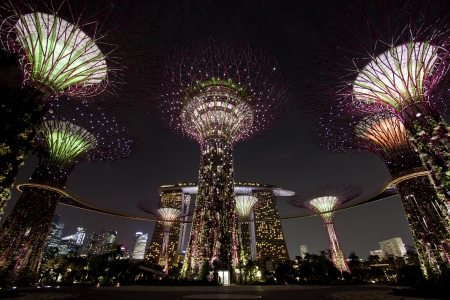 Singapore, Singapore - SEPTEMBER 10, 2012: Night view of The Supertree Grove at Gardens by the Bay in Singapore. Spanning 101 hectares of reclaimed land in central Singapore, adjacent to Marina Reservoir. のeditorial素材