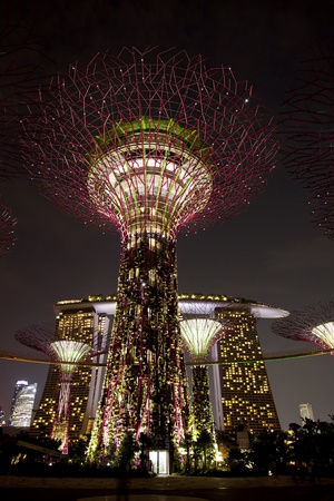 Singapore, Singapore - SEPTEMBER 10, 2012: Night view of The Supertree Grove at Gardens by the Bay...