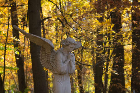 cemetery gothic angel sculpture in autumn forest parkの写真素材