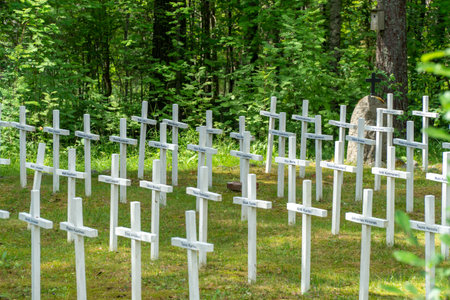 Crosses in a military cemetery in the forest. Europeの写真素材