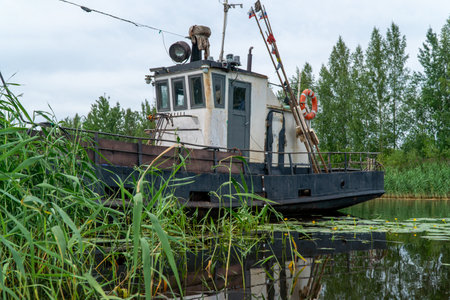 Old fishing boat on the shore of a lake in summer, Novaya Ladoga, Leningradskaya oblast, Russiaの写真素材