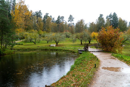 Autumn landscape with river and trees in the park on a cloudy day Pushkinskie Gory, Pskov