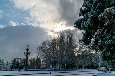 Winter landscape with snow-covered trees in the city park on a cloudy day Volgograd, Russiaの写真素材