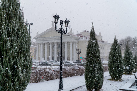 wedding rings on the finger of the groom and the brideの写真素材
