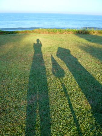 shadow on grassの写真素材