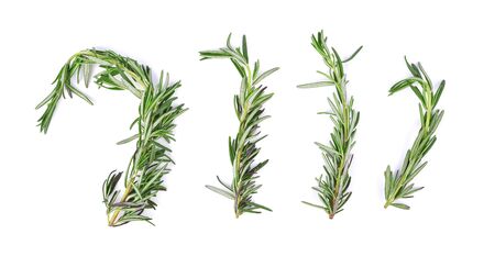 Rosemary isolated on white background. Top viewの写真素材