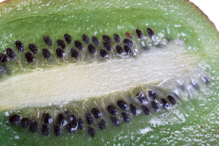 Image of green kiwi background close up.の写真素材