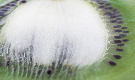 Image of green kiwi background close up.の写真素材