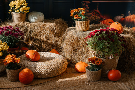 Autumn Harvest Scene with Pumpkins and Flowersの写真素材