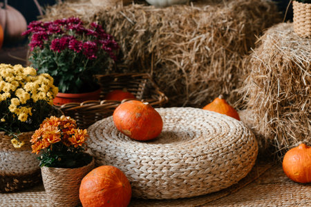 Autumn Harvest Scene with Pumpkins and Flowersの写真素材