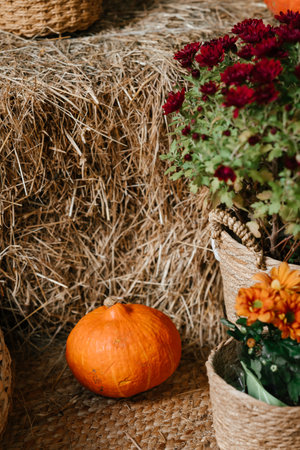 Autumn Harvest with Pumpkin and Chrysanthemumsの写真素材