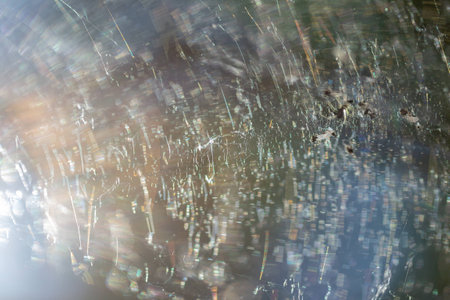 Web on plants in the forestの写真素材