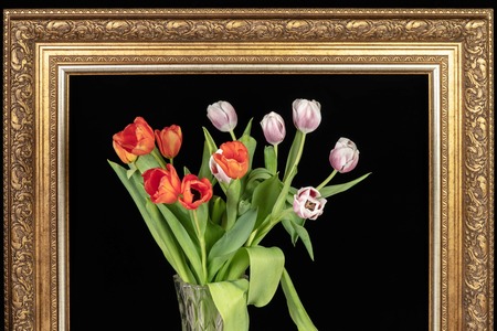 A bouquet of tulips in a frame for paintings on a black background