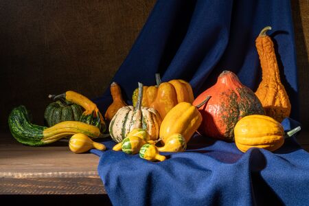 Still life with decorative pumpkins and deep blue drapery.の写真素材