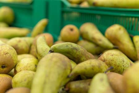 Fresh pears on the counter in the supermarket