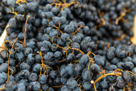 Black grapes on the counter in the supermarket