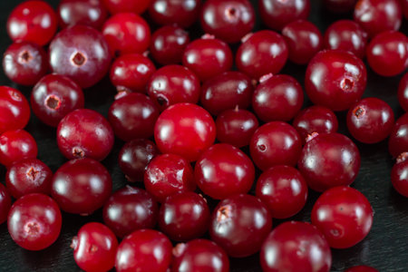 A lot of cranberries close up on a black backgroundの写真素材