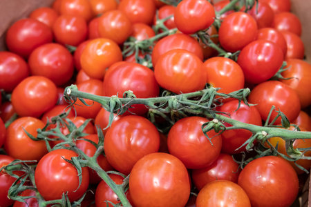 A lot of red tomatoes are sold in a supermarket.の写真素材