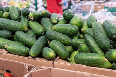A lot of cucumbers are sold in the supermarket.の写真素材