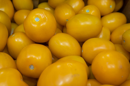 A lot of yellow tomatoes are sold in a supermarket.の写真素材